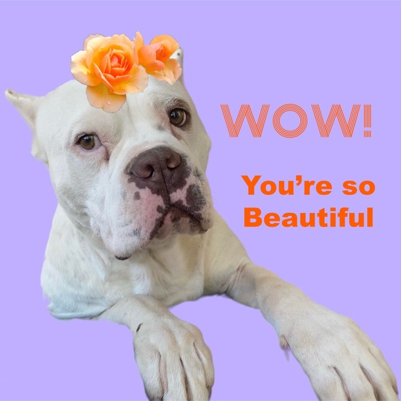 Topshop size 6 long sweater cardigan with pockets gray - Picture 10 of 11